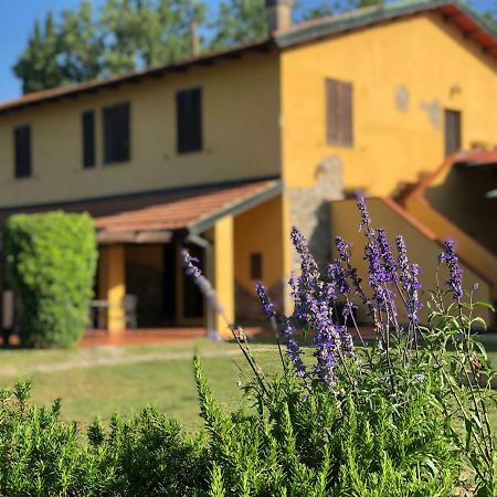 Agriturismo Santa Lorica Сассетта Экстерьер фото