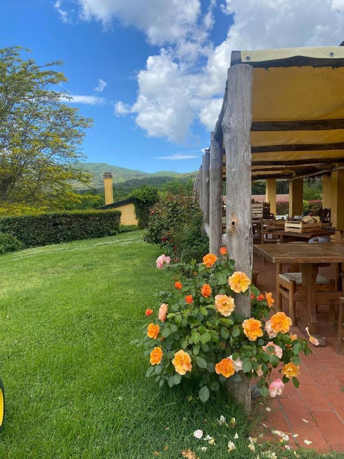 Agriturismo Santa Lorica Сассетта Экстерьер фото