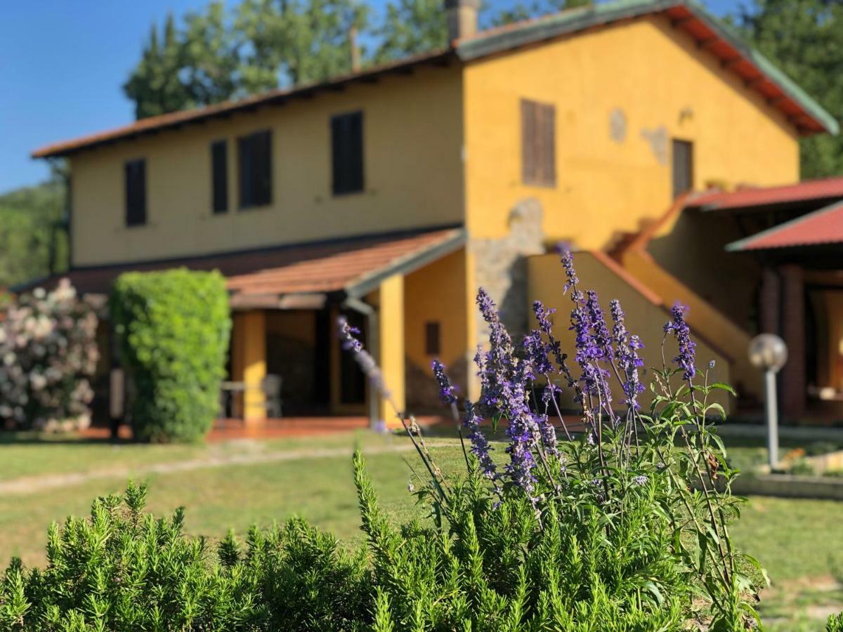 Agriturismo Santa Lorica Сассетта Экстерьер фото