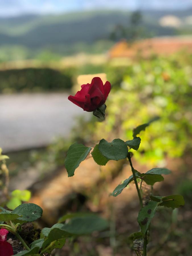 Agriturismo Santa Lorica Сассетта Экстерьер фото